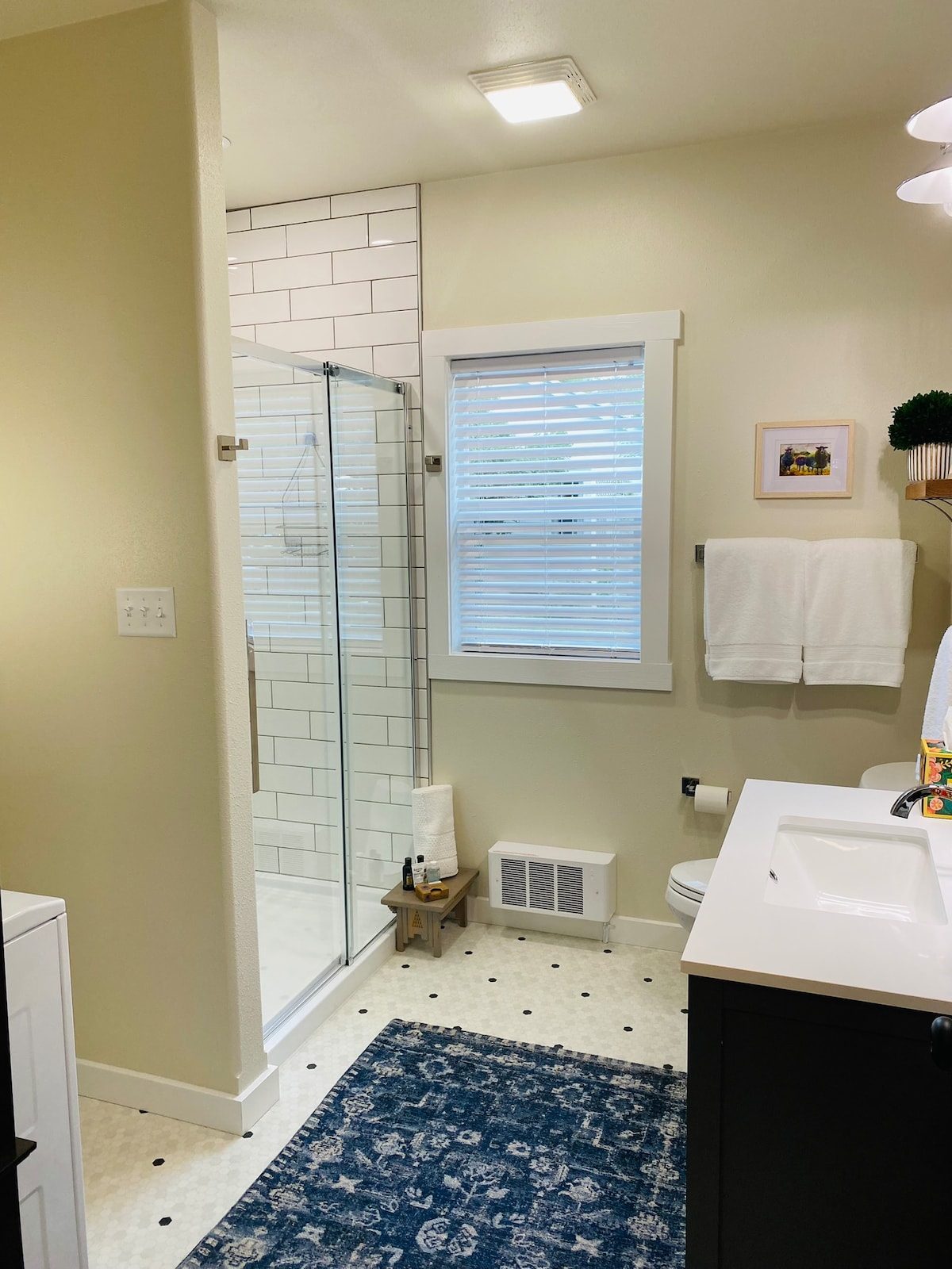 Bathroom with glass shower and patterned rug