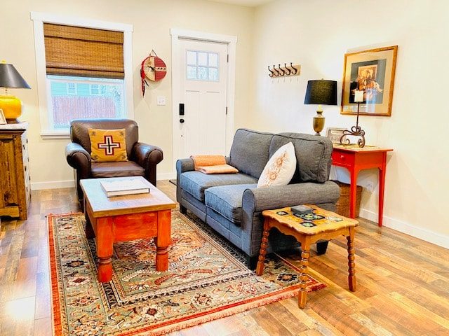 Living room with sofa, armchair and a bright front window