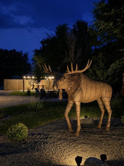 Lit elk sculpture in the yard at night